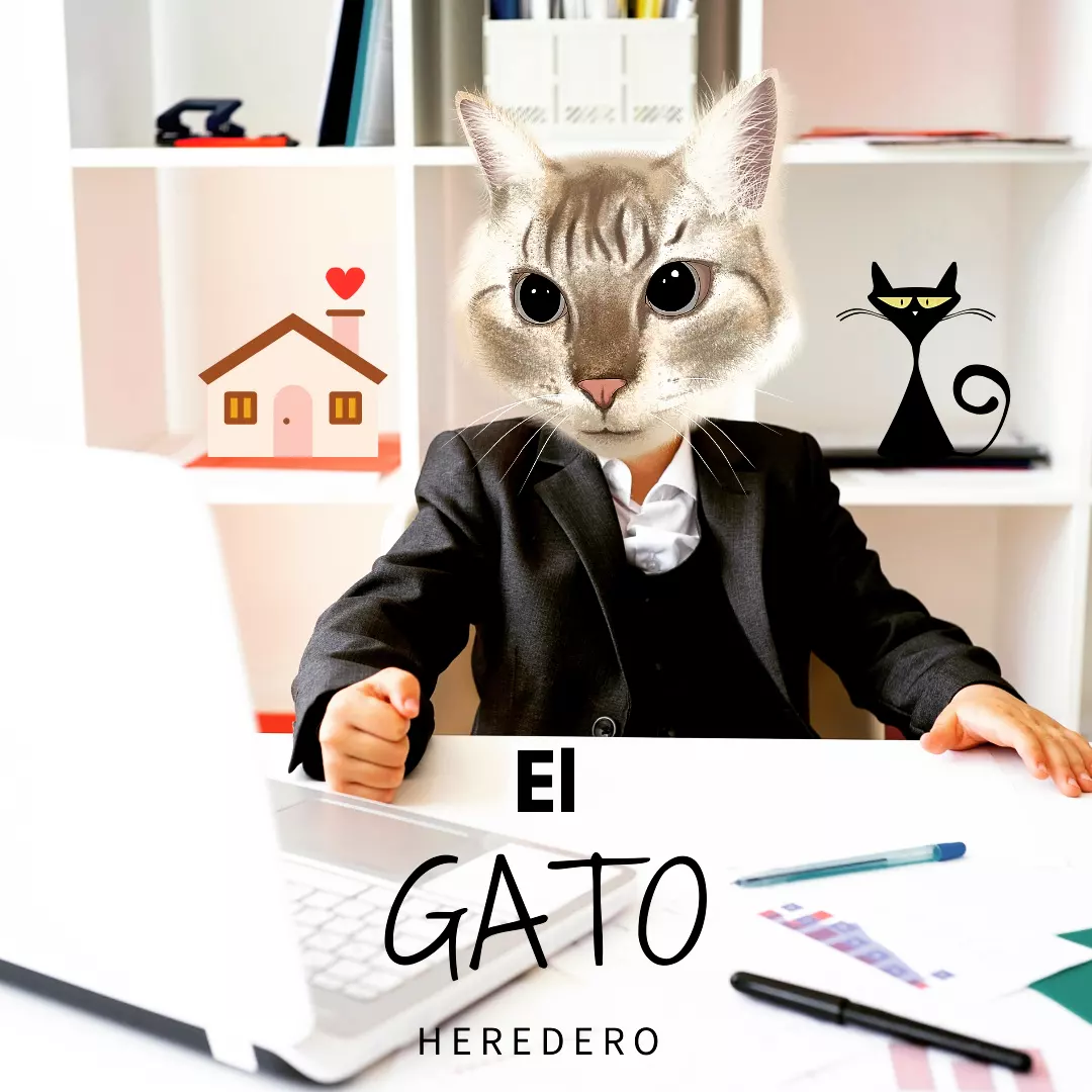“Poesía: El Gato Heredero”